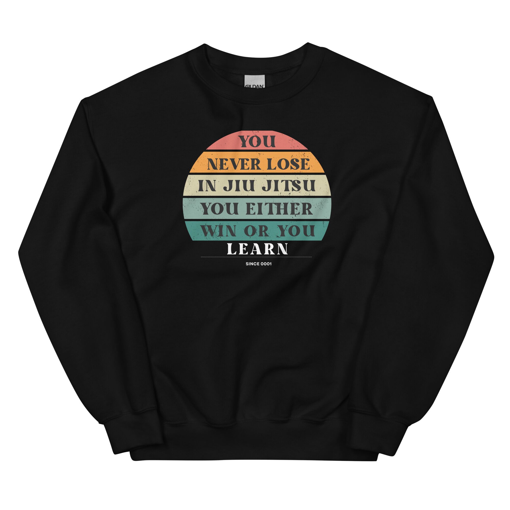 SWEATSHIRT (EXAMPLE)