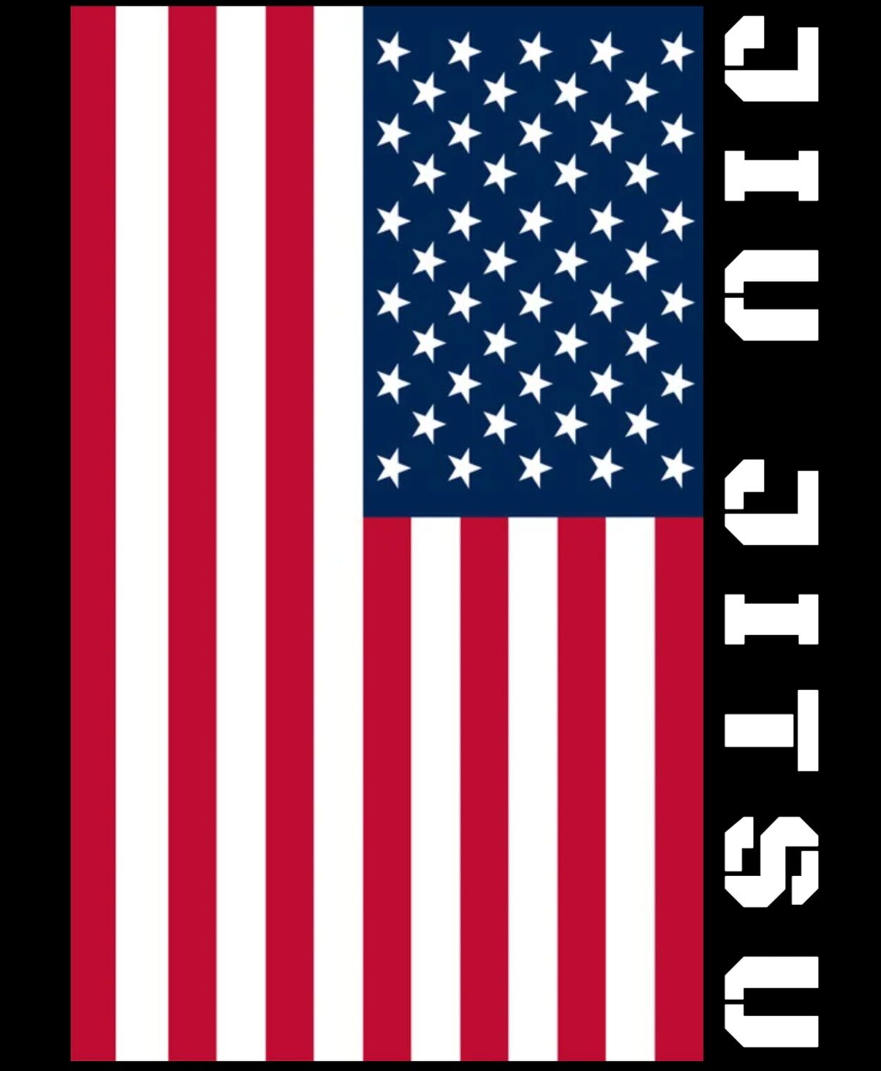 USA Flag Jiu Jitsu T-Shirt (unisex) - Image 8