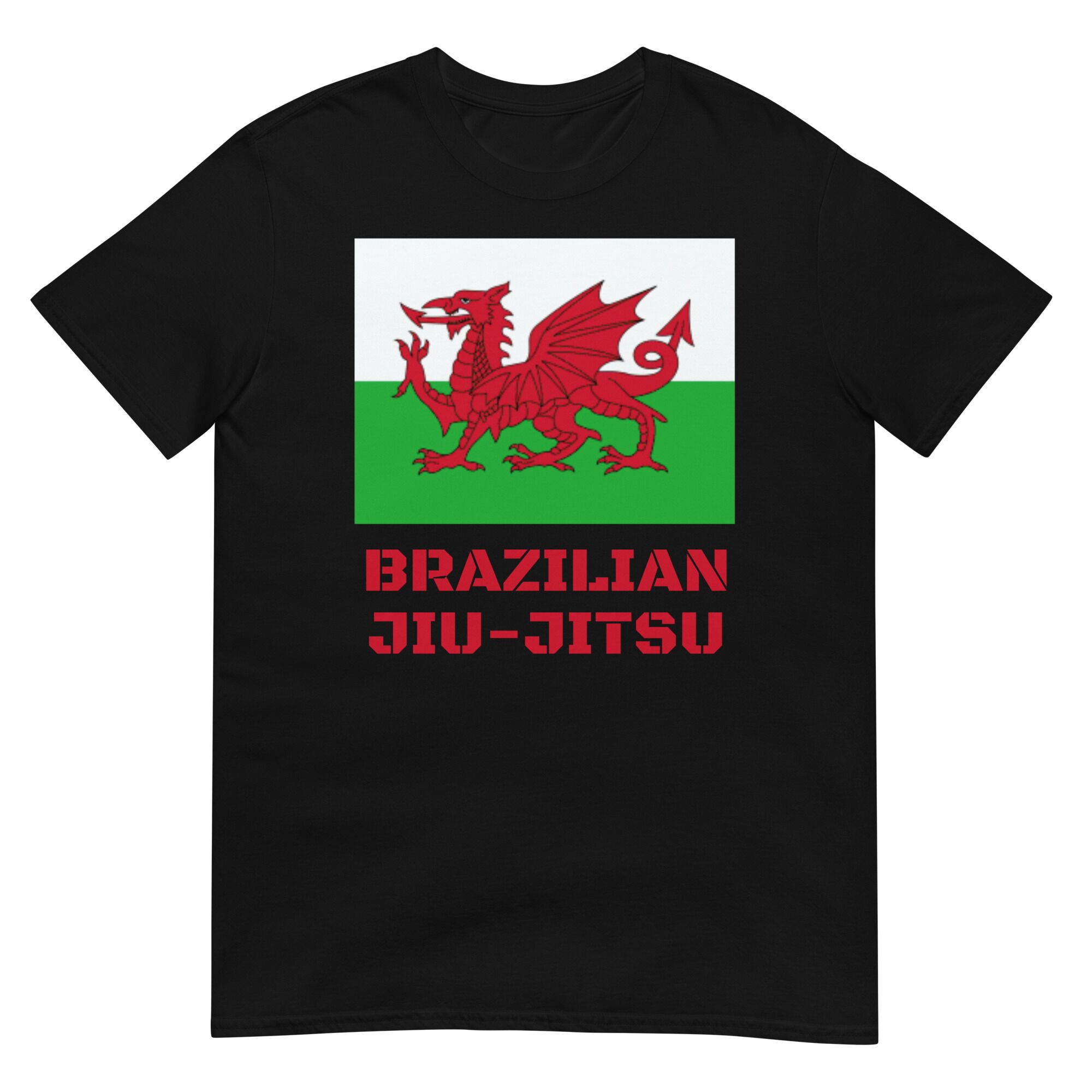 Welsh Flag T-Shirt (unisex)